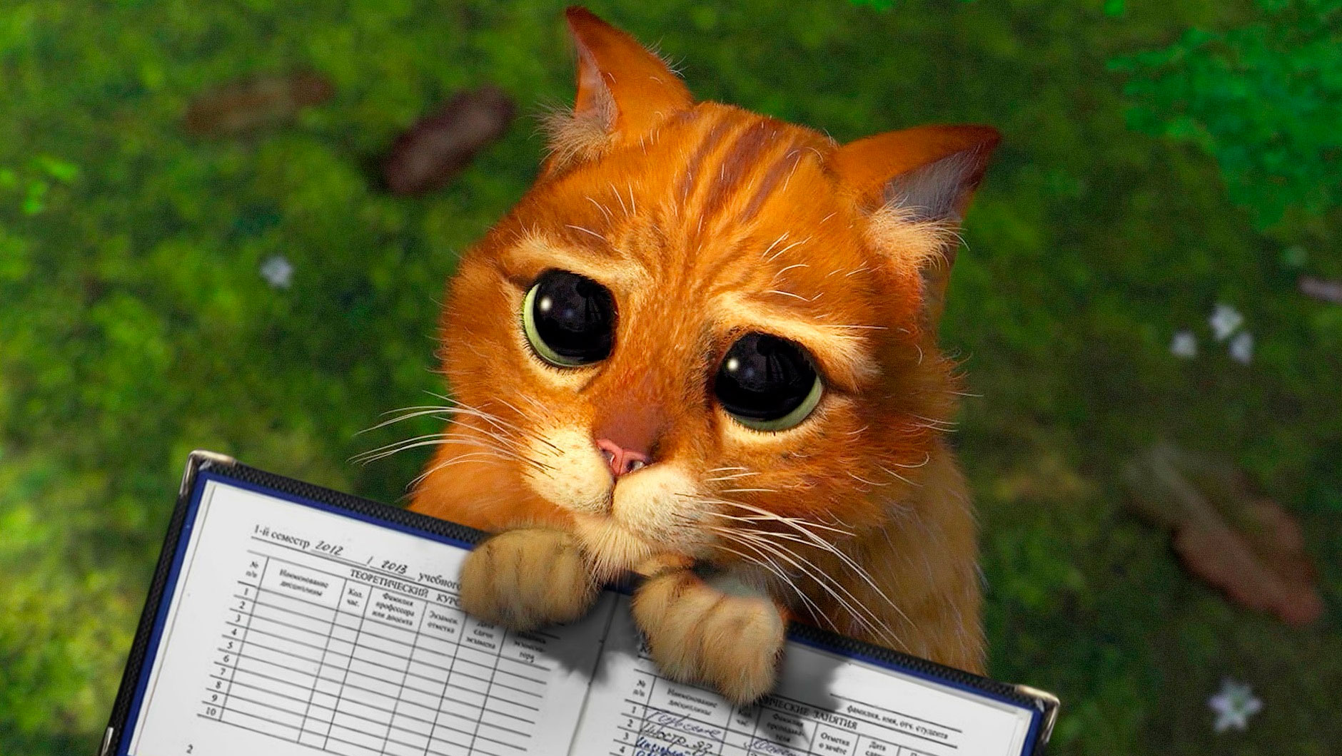 Как закрыть сессию?!